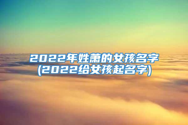 2022年姓萧的女孩名字(2022给女孩起名字)