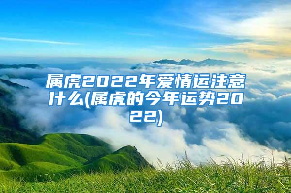 属虎2022年爱情运注意什么(属虎的今年运势2022)