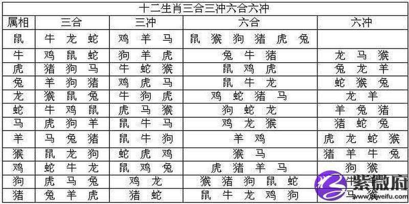 天干相合地支相冲的八字分析(天干相冲地支相冲)