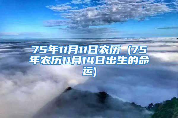 75年11月11日农历 (75年农历11月14日出生的命运)