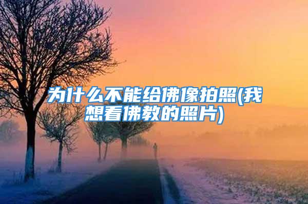 为什么不能给佛像拍照(我想看佛教的照片)