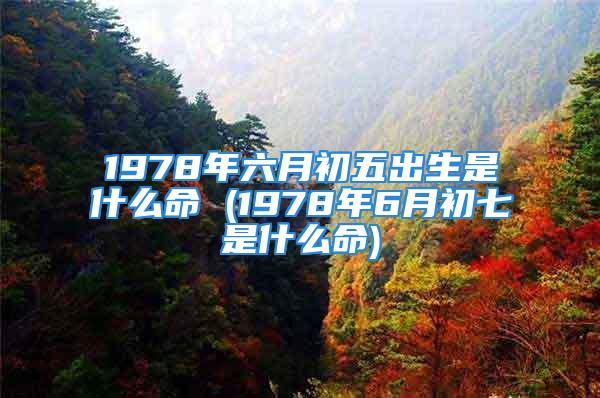 1978年六月初五出生是什么命 (1978年6月初七是什么命)