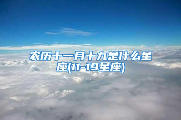 农历十一月十九是什么星座(11-19星座)