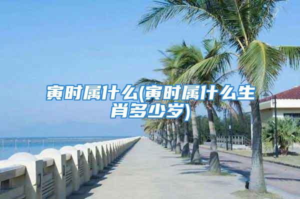 寅时属什么(寅时属什么生肖多少岁)