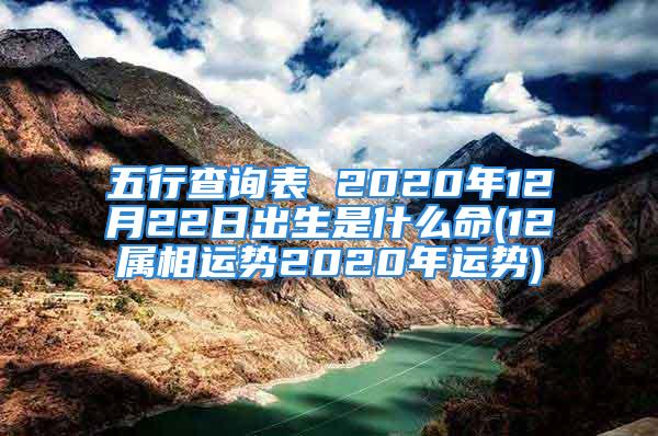 五行查询表 2020年12月22日出生是什么命(12属相运势2020年运势)