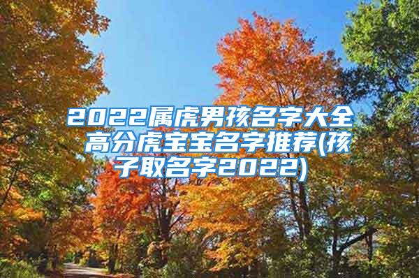 2022属虎男孩名字大全 高分虎宝宝名字推荐(孩子取名字2022)