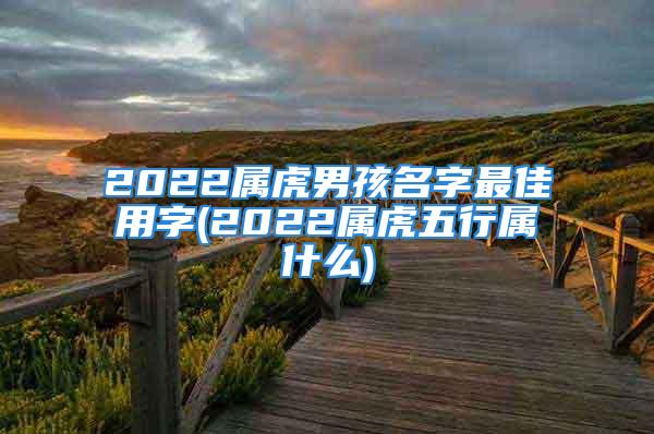 2022属虎男孩名字最佳用字(2022属虎五行属什么)