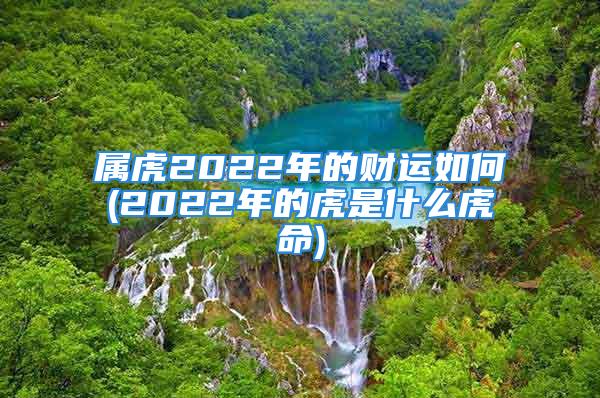 属虎2022年的财运如何(2022年的虎是什么虎命)