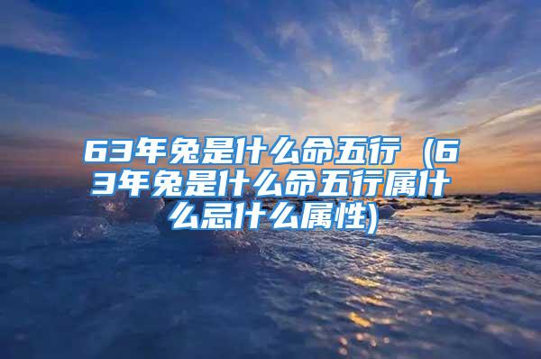 63年兔是什么命五行 (63年兔是什么命五行属什么忌什么属性)