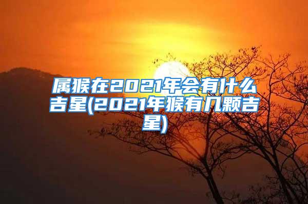 属猴在2021年会有什么吉星(2021年猴有几颗吉星)