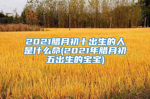 2021腊月初十出生的人是什么命(2021年腊月初五出生的宝宝)