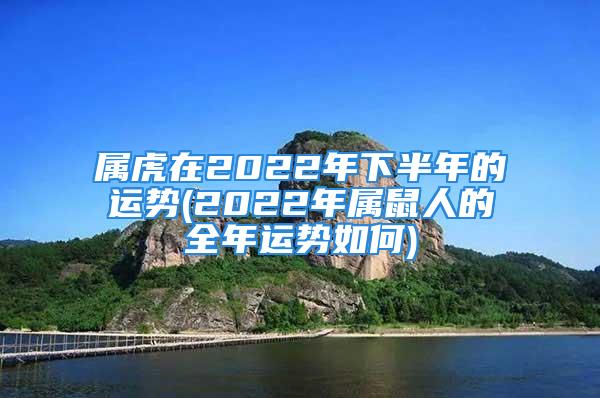 属虎在2022年下半年的运势(2022年属鼠人的全年运势如何)