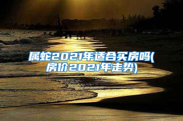 属蛇2021年适合买房吗(房价2021年走势)