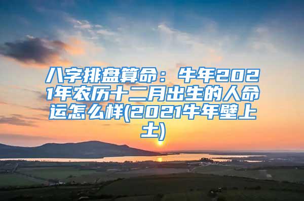 八字排盘算命：牛年2021年农历十二月出生的人命运怎么样(2021牛年壁上土)