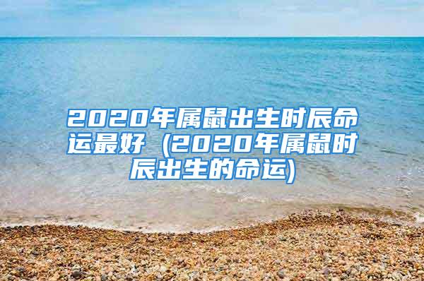 2020年属鼠出生时辰命运最好 (2020年属鼠时辰出生的命运)