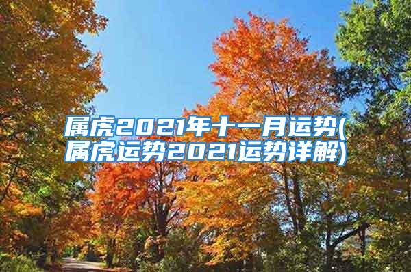 属虎2021年十一月运势(属虎运势2021运势详解)