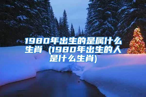 1980年出生的是属什么生肖 (1980年出生的人是什么生肖)