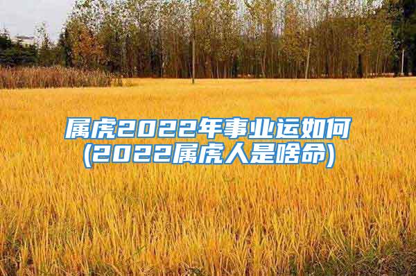 属虎2022年事业运如何(2022属虎人是啥命)