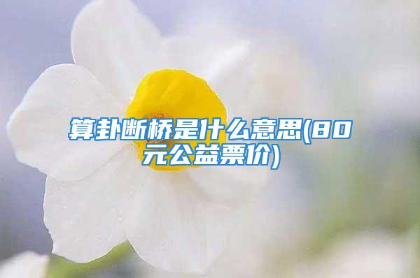 算卦断桥是什么意思(80元公益票价)