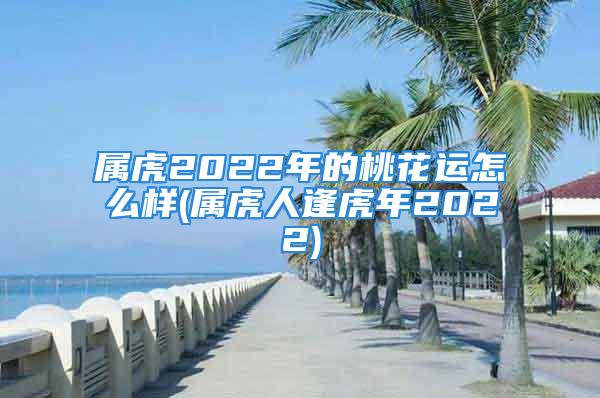 属虎2022年的桃花运怎么样(属虎人逢虎年2022)