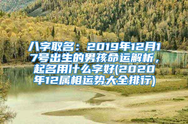 八字取名：2019年12月17号出生的男孩命运解析，起名用什么字好(2020年12属相运势大全排行)