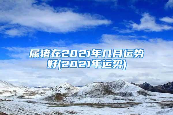 属猪在2021年几月运势好(2021年运势)