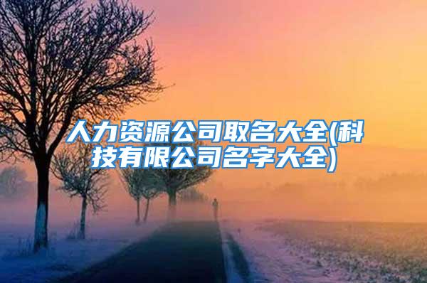 人力资源公司取名大全(科技有限公司名字大全)