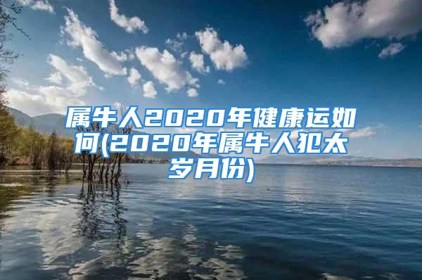 属牛人2020年健康运如何(2020年属牛人犯太岁月份)