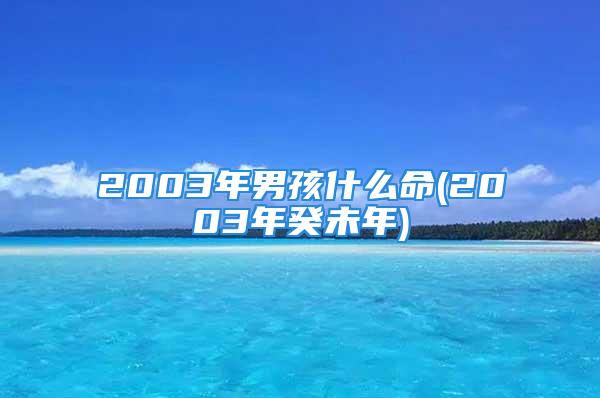 2003年男孩什么命(2003年癸未年)