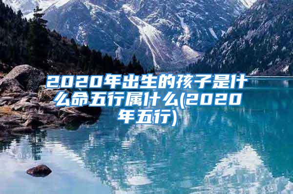 2020年出生的孩子是什么命五行属什么(2020年五行)