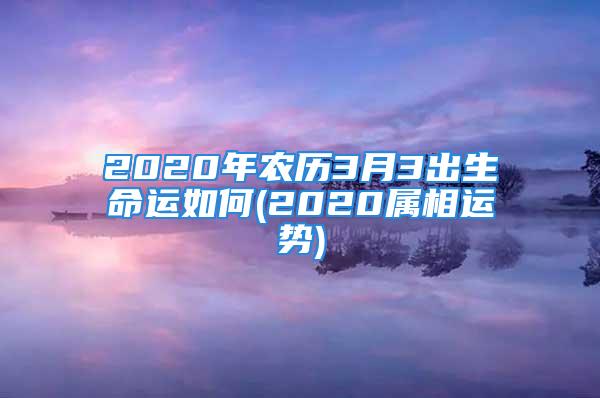 2020年农历3月3出生命运如何(2020属相运势)