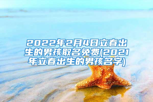 2022年2月4日立春出生的男孩取名免费(2021年立春出生的男孩名字)