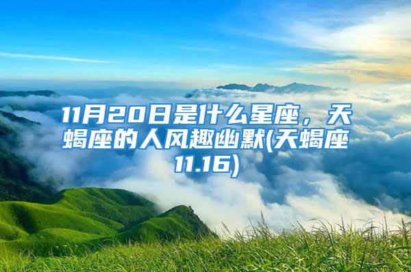 11月20日是什么星座，天蝎座的人风趣幽默(天蝎座11.16)