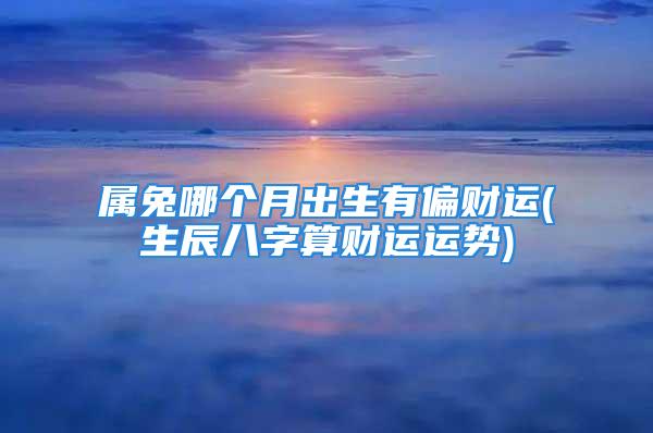 属兔哪个月出生有偏财运(生辰八字算财运运势)