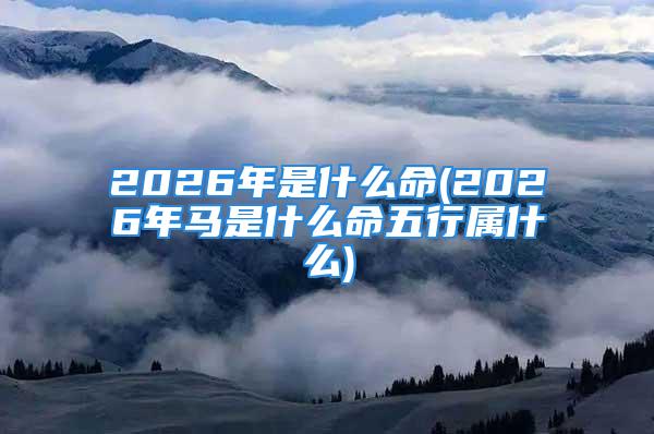 2026年是什么命(2026年马是什么命五行属什么)