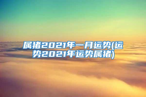 属猪2021年一月运势(运势2021年运势属猪)