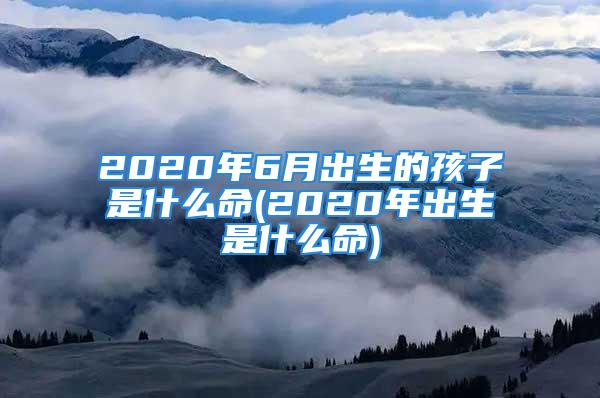 2020年6月出生的孩子是什么命(2020年出生是什么命)