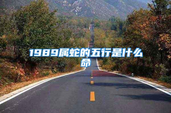 1989属蛇的五行是什么命