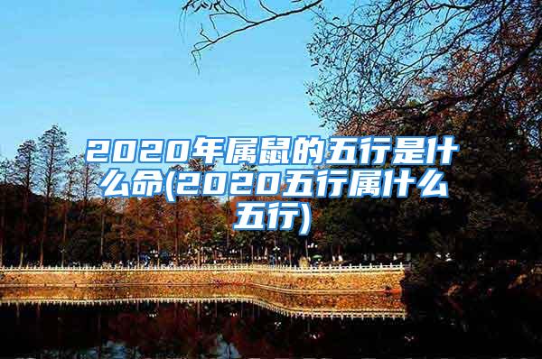 2020年属鼠的五行是什么命(2020五行属什么五行)