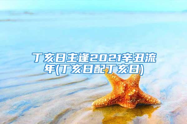 丁亥日主逢2021辛丑流年(丁亥日配丁亥日)