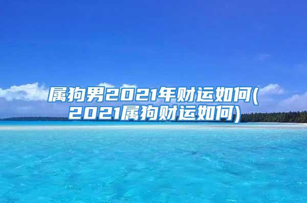 属狗男2021年财运如何(2021属狗财运如何)