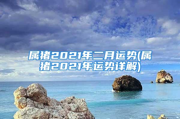 属猪2021年二月运势(属猪2021年运势详解)