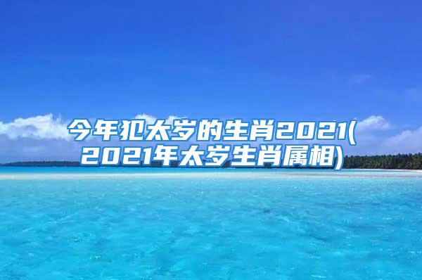 今年犯太岁的生肖2021(2021年太岁生肖属相)