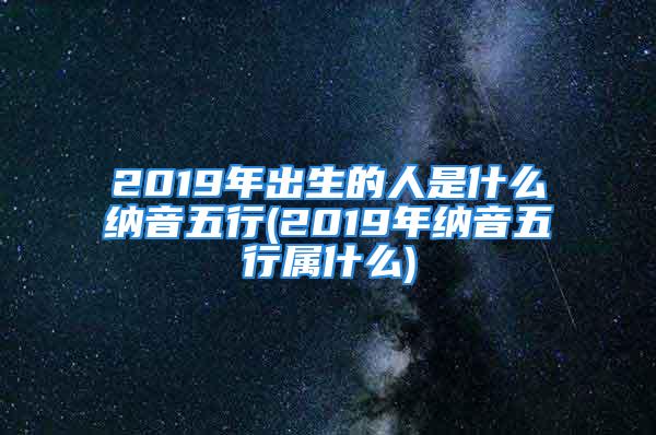 2019年出生的人是什么纳音五行(2019年纳音五行属什么)