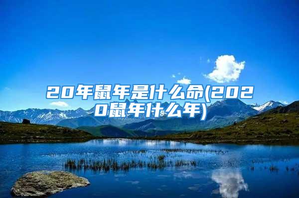 20年鼠年是什么命(2020鼠年什么年)