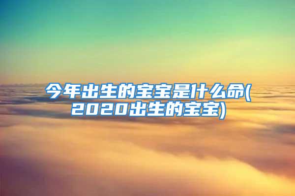 今年出生的宝宝是什么命(2020出生的宝宝)