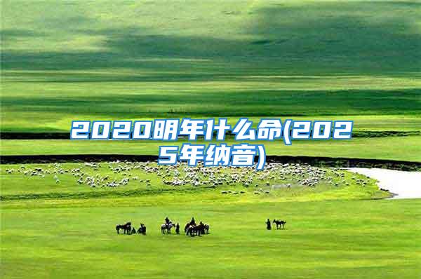 2020明年什么命(2025年纳音)