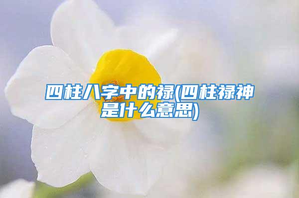 四柱八字中的禄(四柱禄神是什么意思)