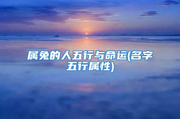 属兔的人五行与命运(名字五行属性)