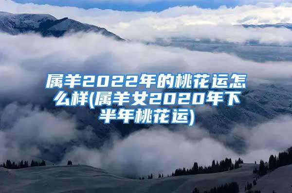 属羊2022年的桃花运怎么样(属羊女2020年下半年桃花运)